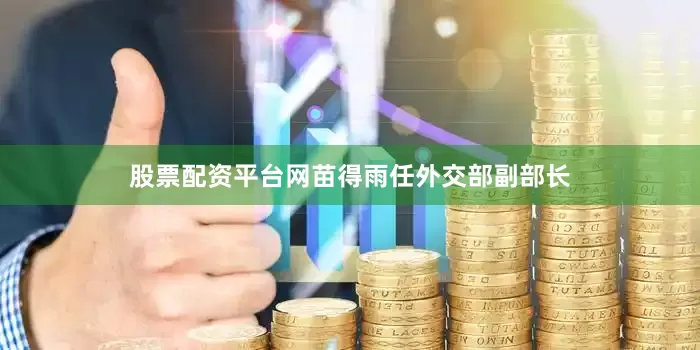 股票配资平台网苗得雨任外交部副部长