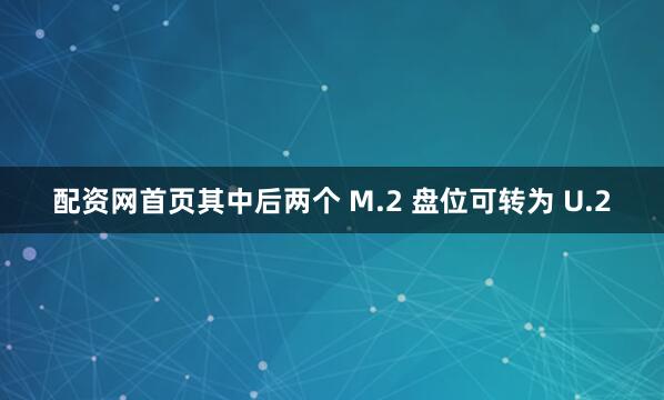 配资网首页其中后两个 M.2 盘位可转为 U.2