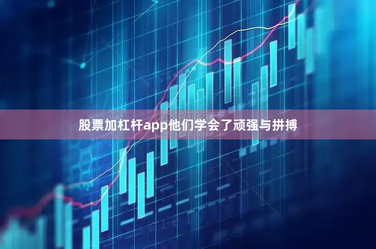 股票加杠杆app他们学会了顽强与拼搏